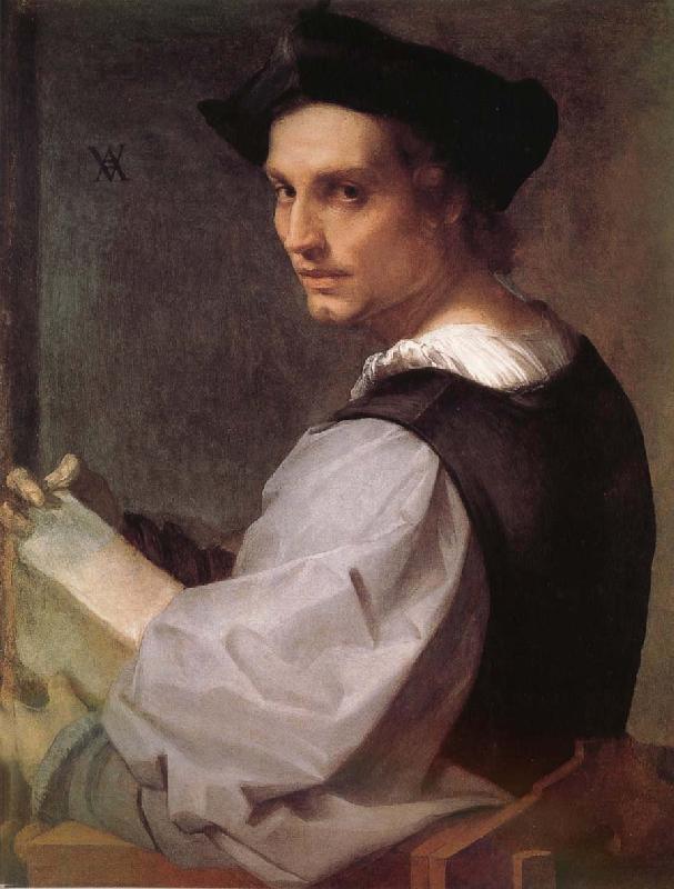 Andrea del Sarto Portrait of man Sweden oil painting art